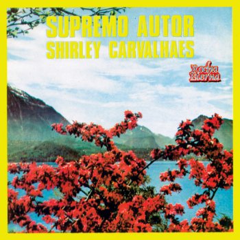 Shirley Carvalhaes Olho para os Montes