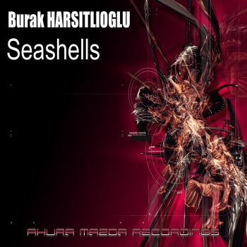 Burak Harşitlioğlu Seashells