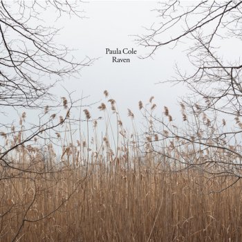 Paula Cole Scream