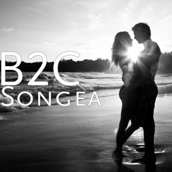 B2c Songea