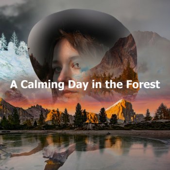 Sound of the Wilderness Spot Holy