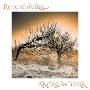 Andrew York Receiving
