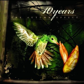 10 Years The Autumn Effect