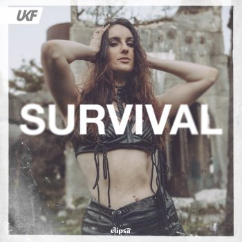 Elipsa Survival