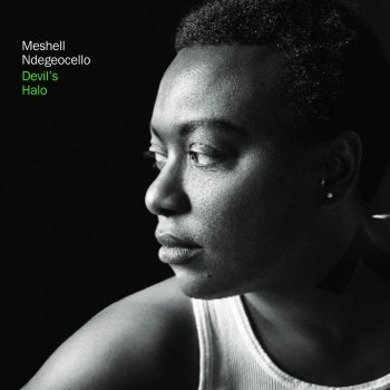 Meshell Ndegeocello Crying in Your Beer