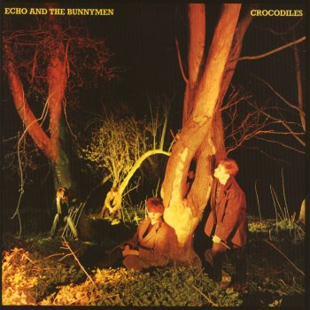 Echo & The Bunnymen Pride (Early Version)