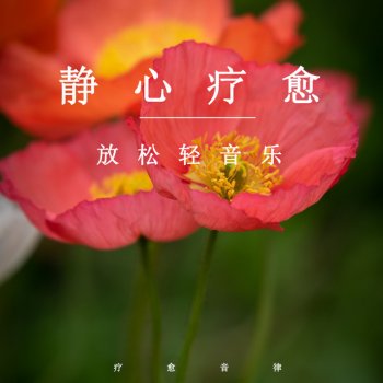 疗愈音律 静心疗愈放松