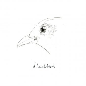 Blackbird Let It Be