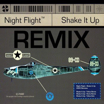 Night Flight Shake It Up (Hertz Remix)