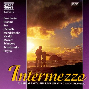 Kenneth Jean feat. Slovak Philharmonic Orchestra & Takako Nishizaki Violin Concerto in E Minor, Op. 64: Andante