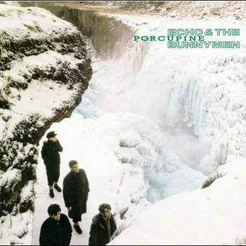 Echo & The Bunnymen In Bluer Skies