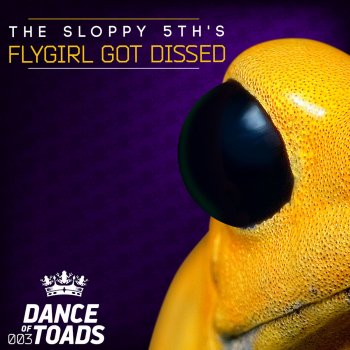 The Sloppy 5th's Flygirl Got Dissed - Original Mix