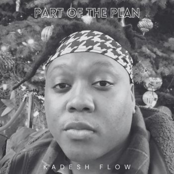 Kadesh Flow Part of the Plan