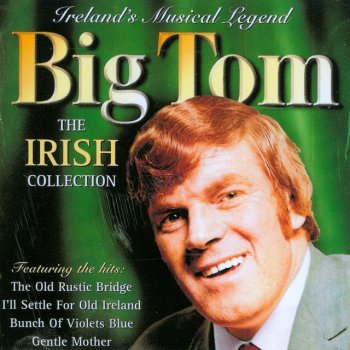 Big Tom The Old Rustic Bridge