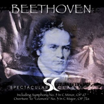 London Symphony Orchestra Piano Sonata No. 14 in C-Sharp Minor "Moonlight", Op. 27 No. 2: I. Adagio sostenuto