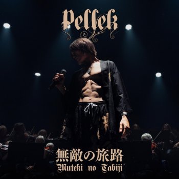 PelleK feat. Nightmare Kaze no Gotoku (風の如く)