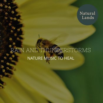 The Nature Tales Song of the Woodpecker