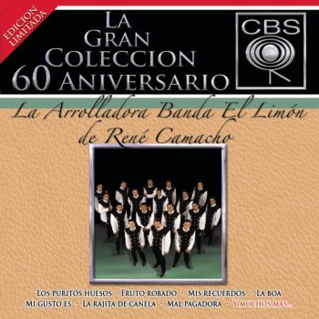 La Arrolladora Banda el Limón de René Camacho Por Culpa del Destino