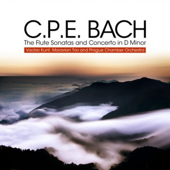 Moravian Trio feat. Vaclav Kunt Sonata In B-Flat Major for Flute and B.C, Wq. 125: I. Adagio