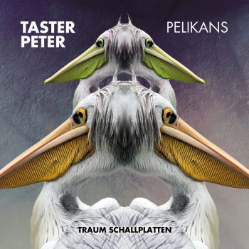 Taster Peter Pelikans (We Need Cracks Remix)