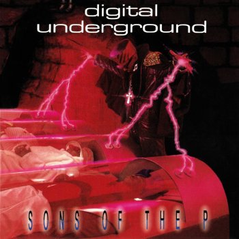 Digital Underground No Nose Job