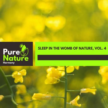 Fireball Nature Music Project Savage Fire Light