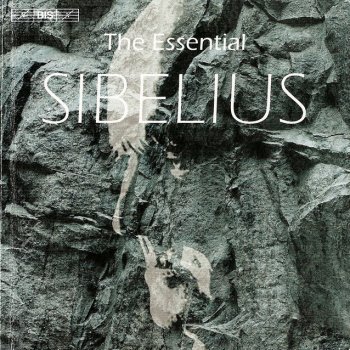 Jean Sibelius, Gothenburg Symphony Orchestra & Neeme Järvi The Tempest Suite No. 1, Op. 109, No. 2: VII. Intrada - Berceuse