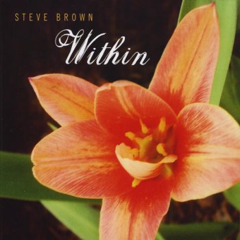 Steve Brown Within