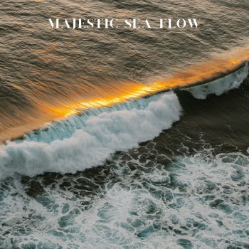 Исполнитель Doctor Sleep, альбом Majestic Sea Flow