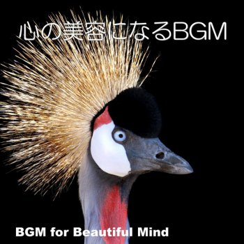 Gioachino Rossini feat. インスブルック交響楽団, ロベルト・ワーグナー(指揮) & デヴィッド・グレイザー(クラリネット) クラリネットの変奏曲 ハ長調
