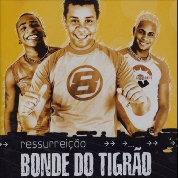 Bonde do Tigrao Mete o pé
