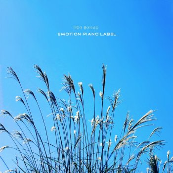 미라클 피아노 바람은 계절을 싣고