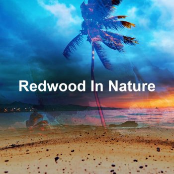 Nature Recordings Nurturing Playful