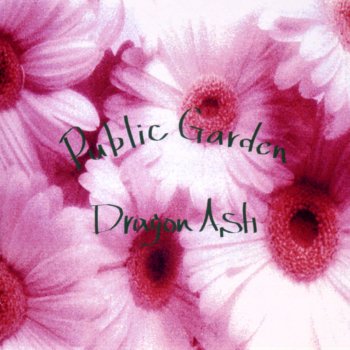 Dragon Ash Public Garden