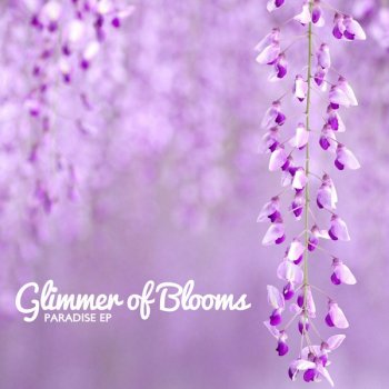 Glimmer of Blooms Crazy - Original Version
