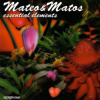 Mateo & Matos Afro Experience