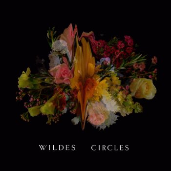 WILDES Circles