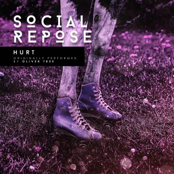 Social Repose Hurt