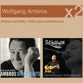 Wolfgang Ambros De Höld'n san scho olle tot