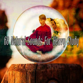 Meditation Awareness Healthy World
