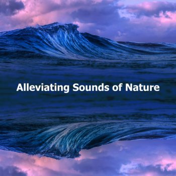 Исполнитель Picturesque Sound, альбом Alleviating Sounds of Nature
