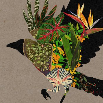 Kaitlyn Aurelia Smith Mt Baker