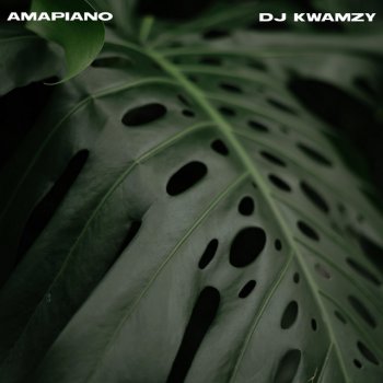 DJ Kwamzy Amapiano