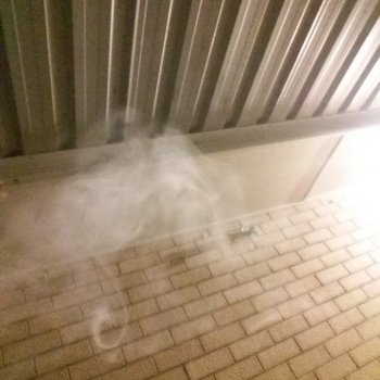 Исполнитель Jack the Ripper, альбом Friday Night