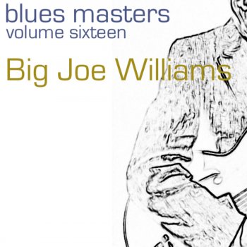 Big Joe Williams Nobody Knows You When You're Down & Out