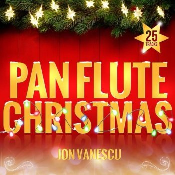 Ion Vanescu Sleigh Ride