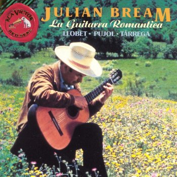 Julian Bream Girl at the Spinning Wheel