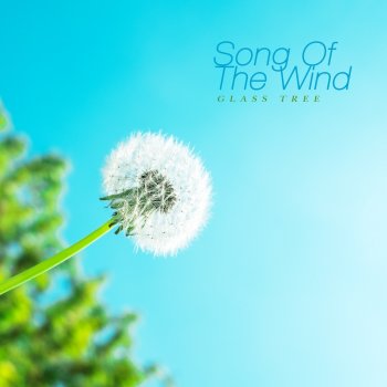 안단티노 Song of the Wind