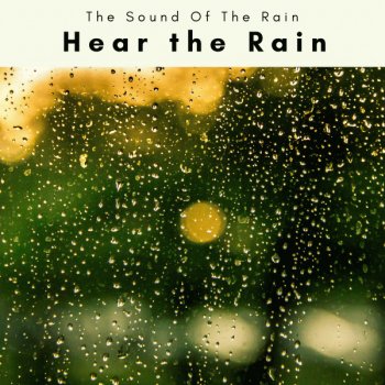 The Sound Of The Rain Soft Rain Nature Sounds for Instant Sleep