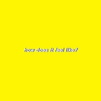 Lindo Habie feat. Nicaz How Does It Feel Like?